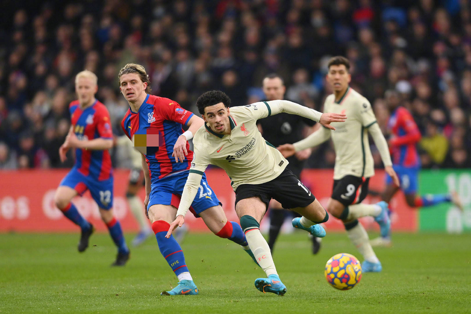 将为福建男 将为福建男